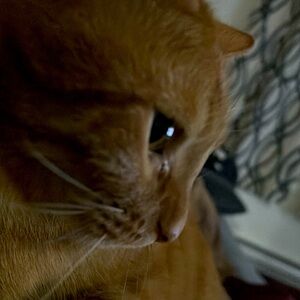 Meet your Posher, KJ